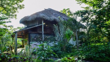 France Amazonía France Amazonía